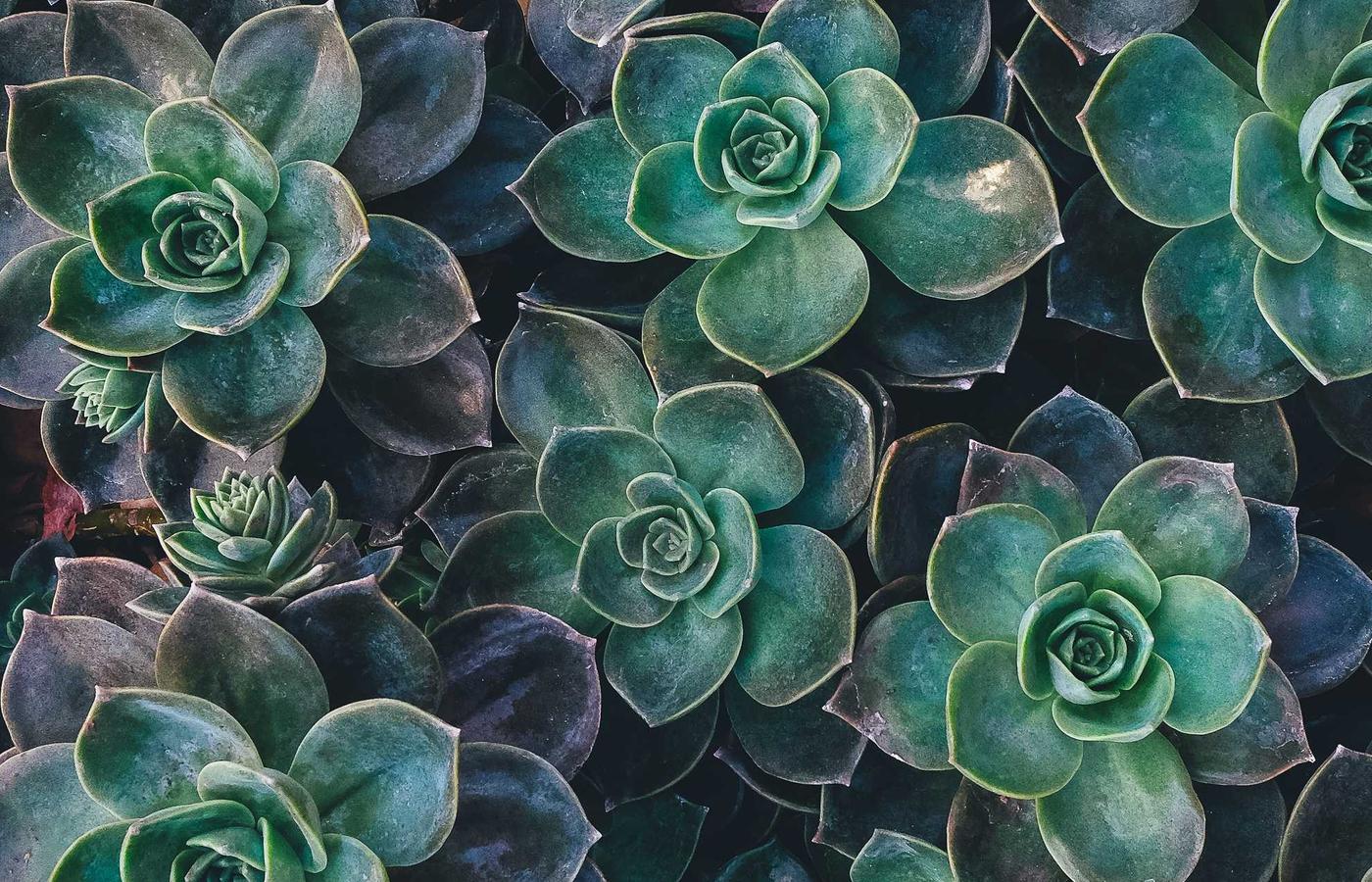 Біздің миссиямыз