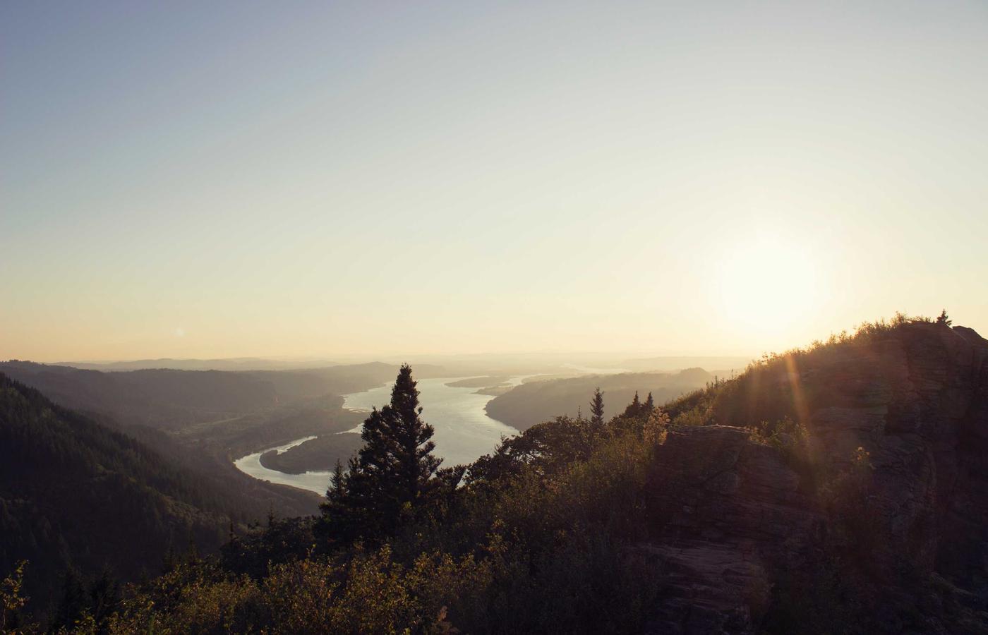 Кәсіби тазалаушылар командасы