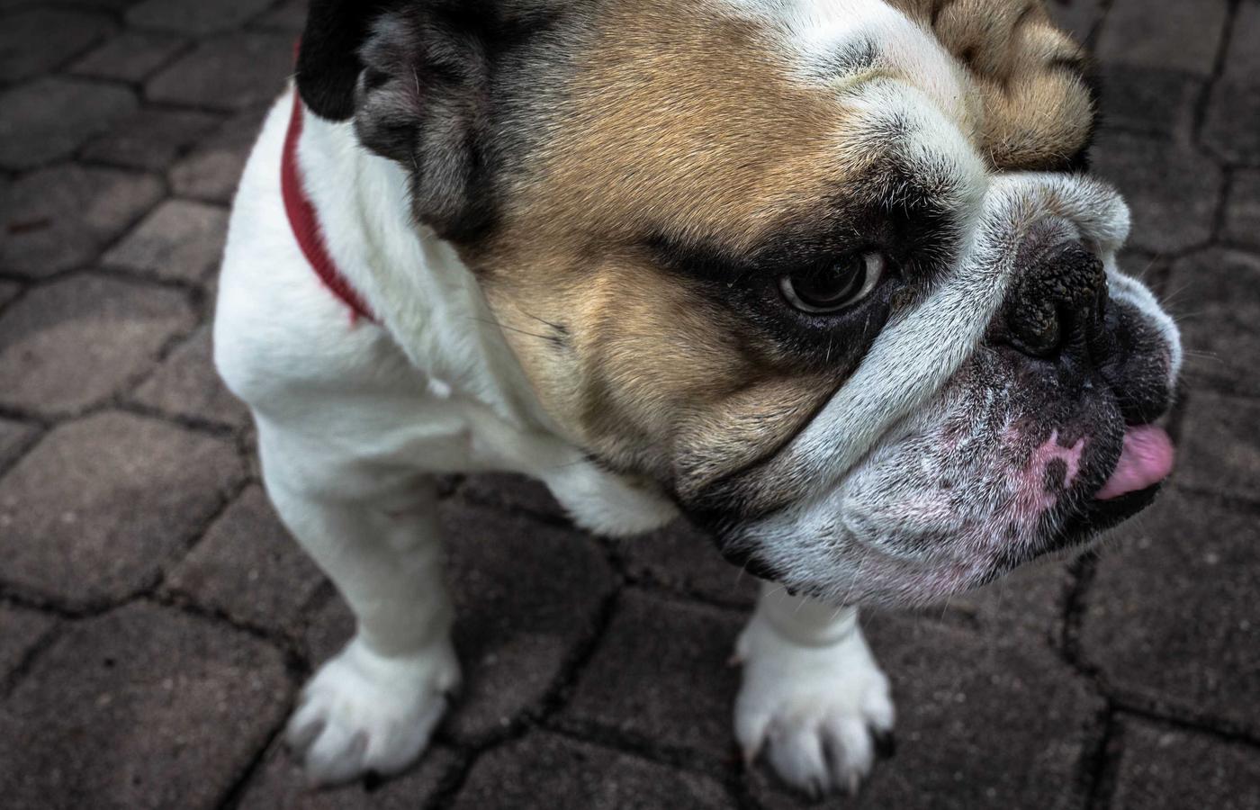 Терең тазалау